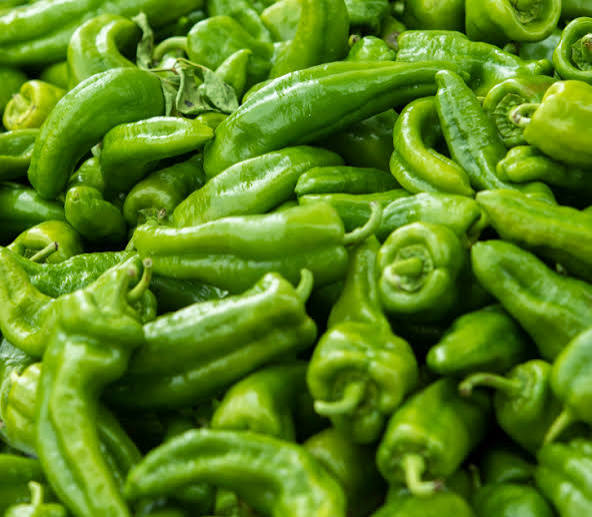 Pimiento verde italiano en conversión - 500 g